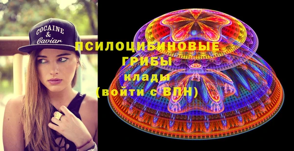 ПСИЛОЦИБИНОВЫЕ ГРИБЫ Михайловка