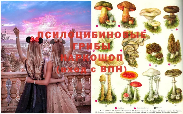 гашиш Медвежьегорск