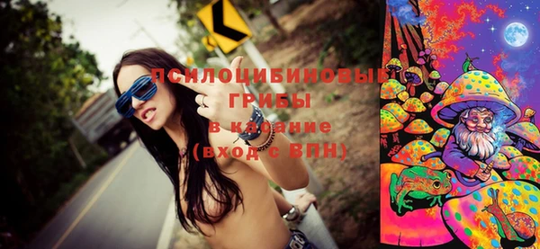 ПСИЛОЦИБИНОВЫЕ ГРИБЫ Михайловка