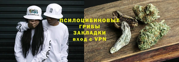 ПСИЛОЦИБИНОВЫЕ ГРИБЫ Михайловка