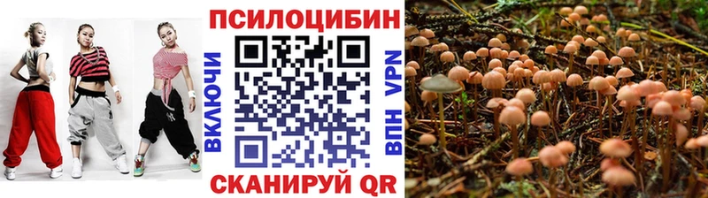 Галлюциногенные грибы ЛСД Кувшиново